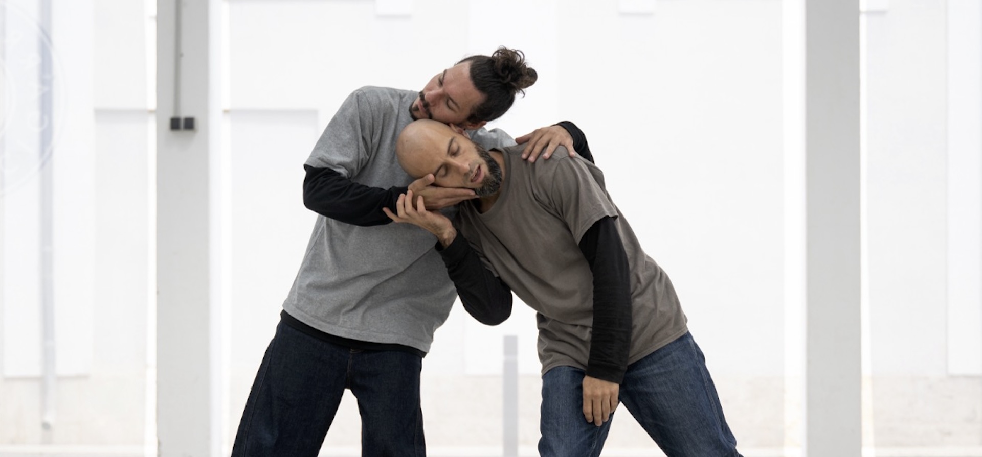 Tipperary Dance Festival 2026 - Dance in Schools - What The Trees Don’t Tell