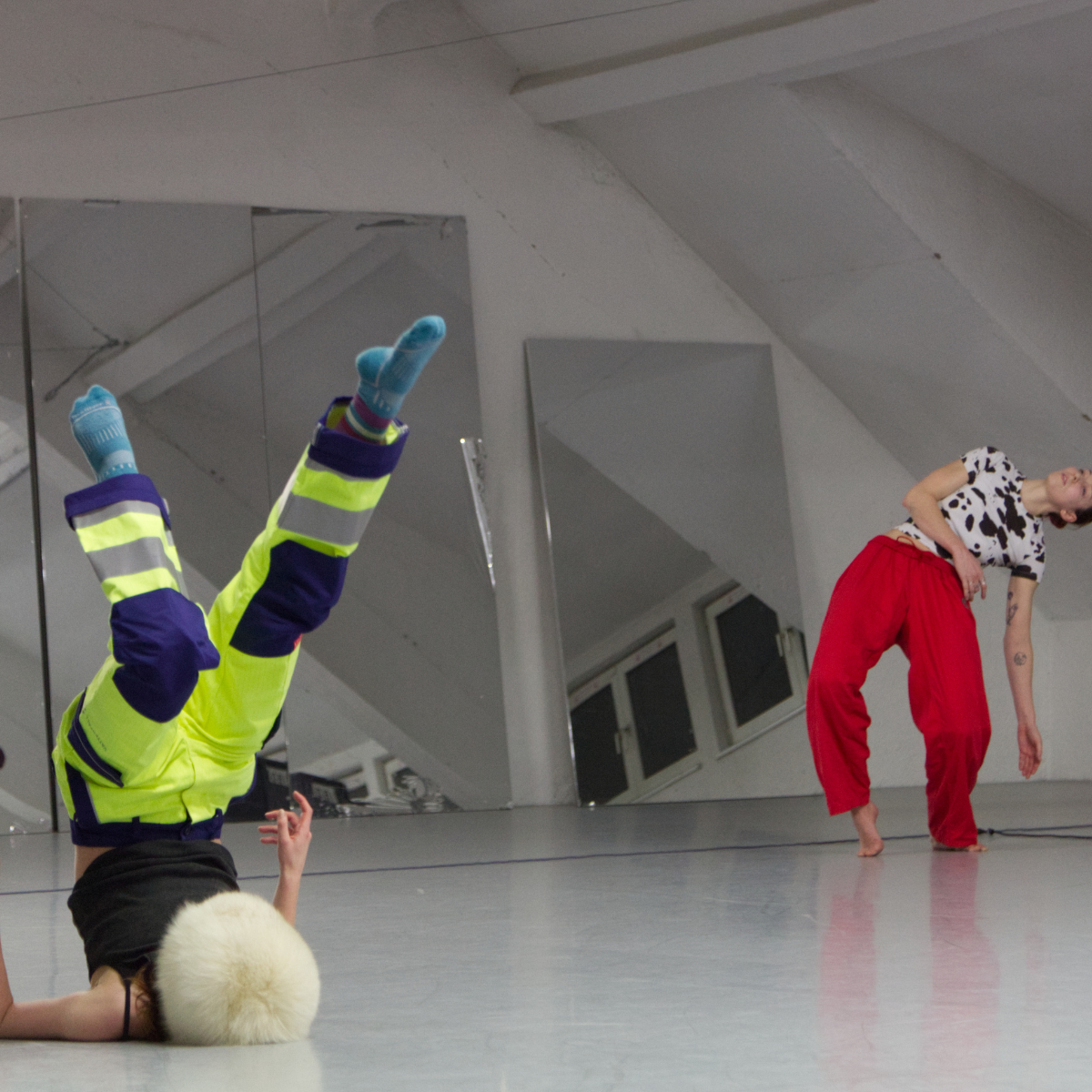 Splash Lab perforamce