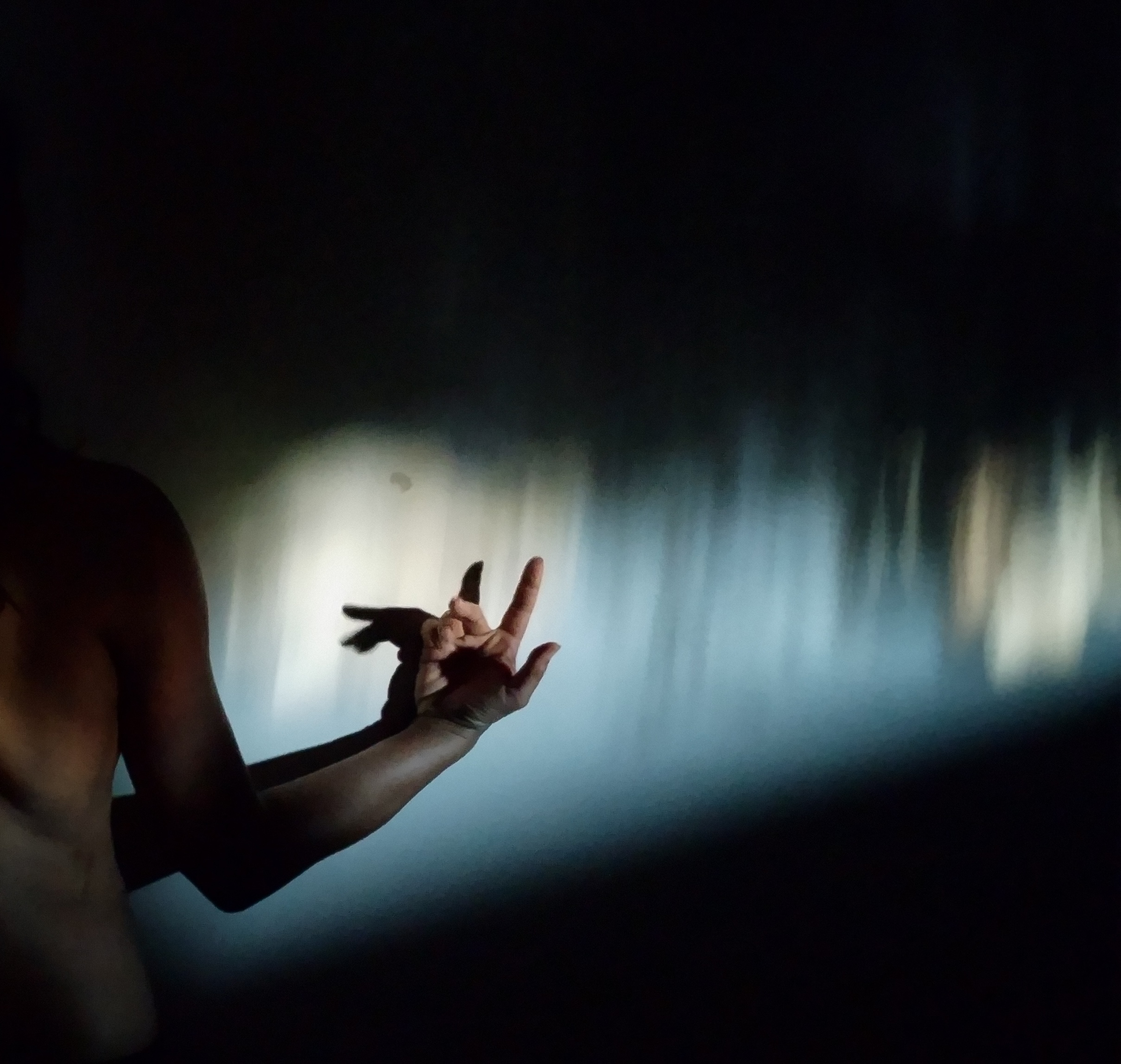 An arm lit up by a raise of light behind a black background. Alexandre Iseli is working with Murielle Elizéon and composer Thomas Belhom on Tremors, a new work exploring vulnerability, presence, and transformation through dance. This residency focuses on how we experience shifting states,physically, emotionally, and collectively. Inspired by the idea of tremors as both geological and bodily, the work reflects on fragility, aging, and the search for spontaneous joy and sensation. We are exploring how to slow down and deepen attention,towards ourselves, each other, and our environment. Through this, we aim to create a shared space where listening becomes active, and where opposing forces,chaos and harmony, intensity and softness,can coexist. Tremors reimagines performance as a communal and attentive practice, where presence allows for subtle but meaningful transformation. A Tipperary Dance project, developed in partnership with Tanztendenz Munich.