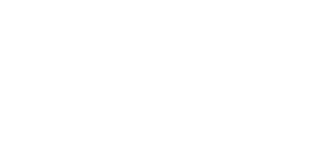 cropped-TDP-logo_WHITE_-copie.png